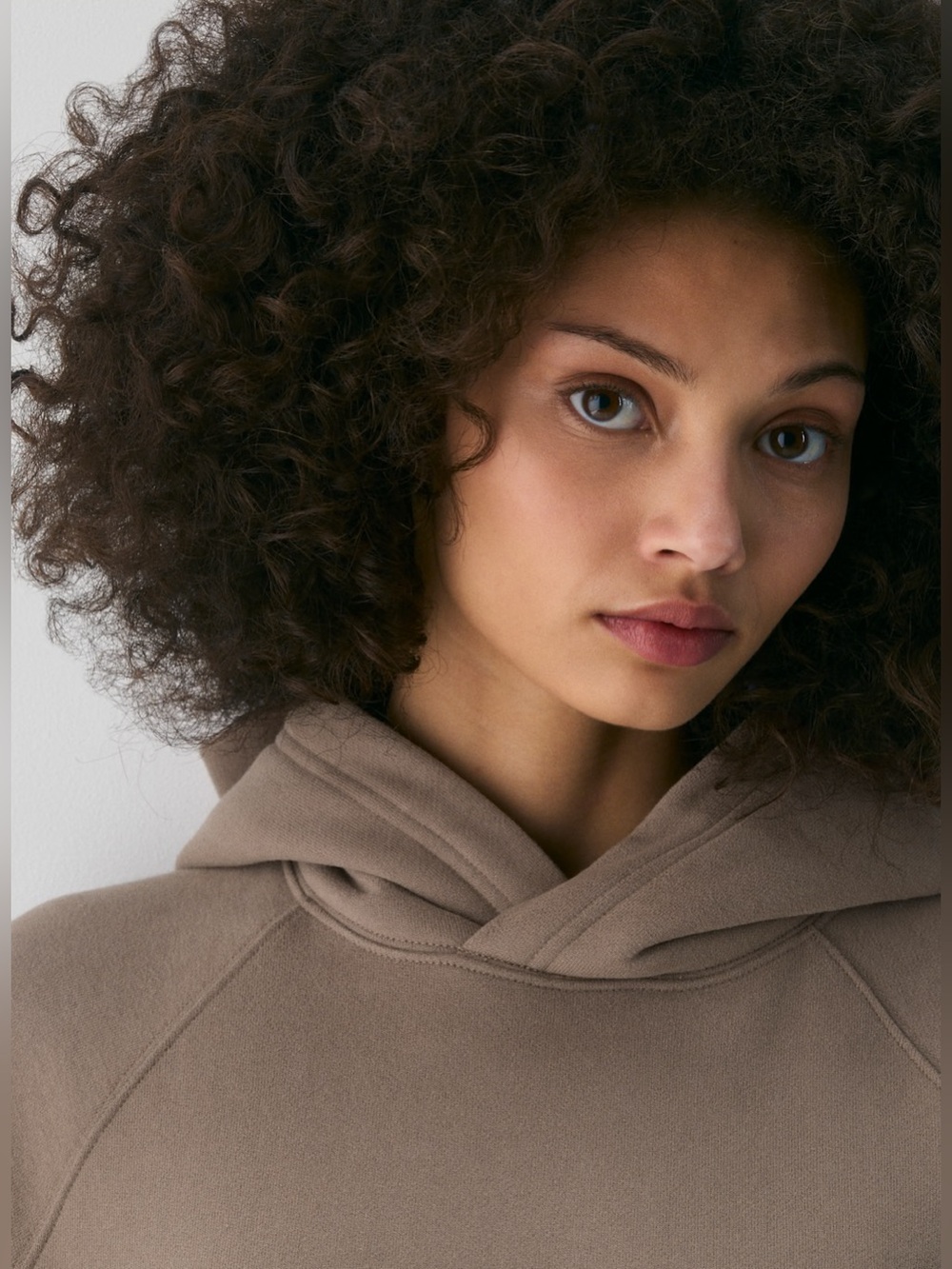 BNWT ARITZIA Sweatfleece Hoodie